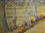 Birkenallee - Öl auf Malmappe -  40x50 cm