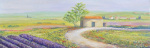 Provence III - Öl auf Leinwand - 40x120 cm