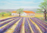Provence II -Öl auf Leinwand - 50x70 cm