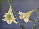 Lilien - Öl auf Leinwand - 30x40 cm