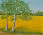 Rapsfeld in Sittensen - Öl auf Leinwand - 40x50 cm